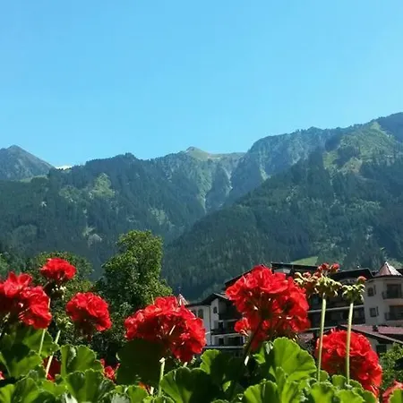 Alpenrose Appartement *